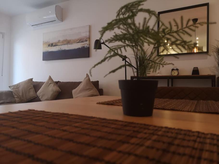 New Alexandra Apartment, 2 Min 40 Sec From Beach La Mata  Luaran gambar